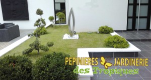 jardin zen jardinerie des tropiques