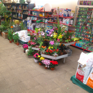 boutique jardinerie des tropiques