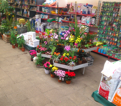 boutique jardinerie des tropiques