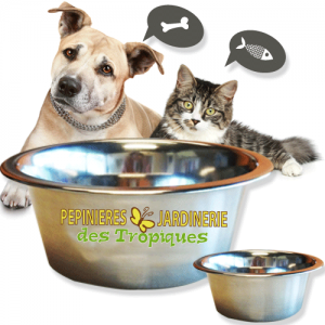 aliments pour chats et chiens