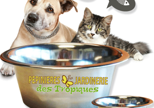 aliments pour chats et chiens