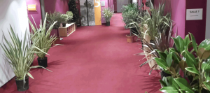 décoration végétaux au cinéma de Muret