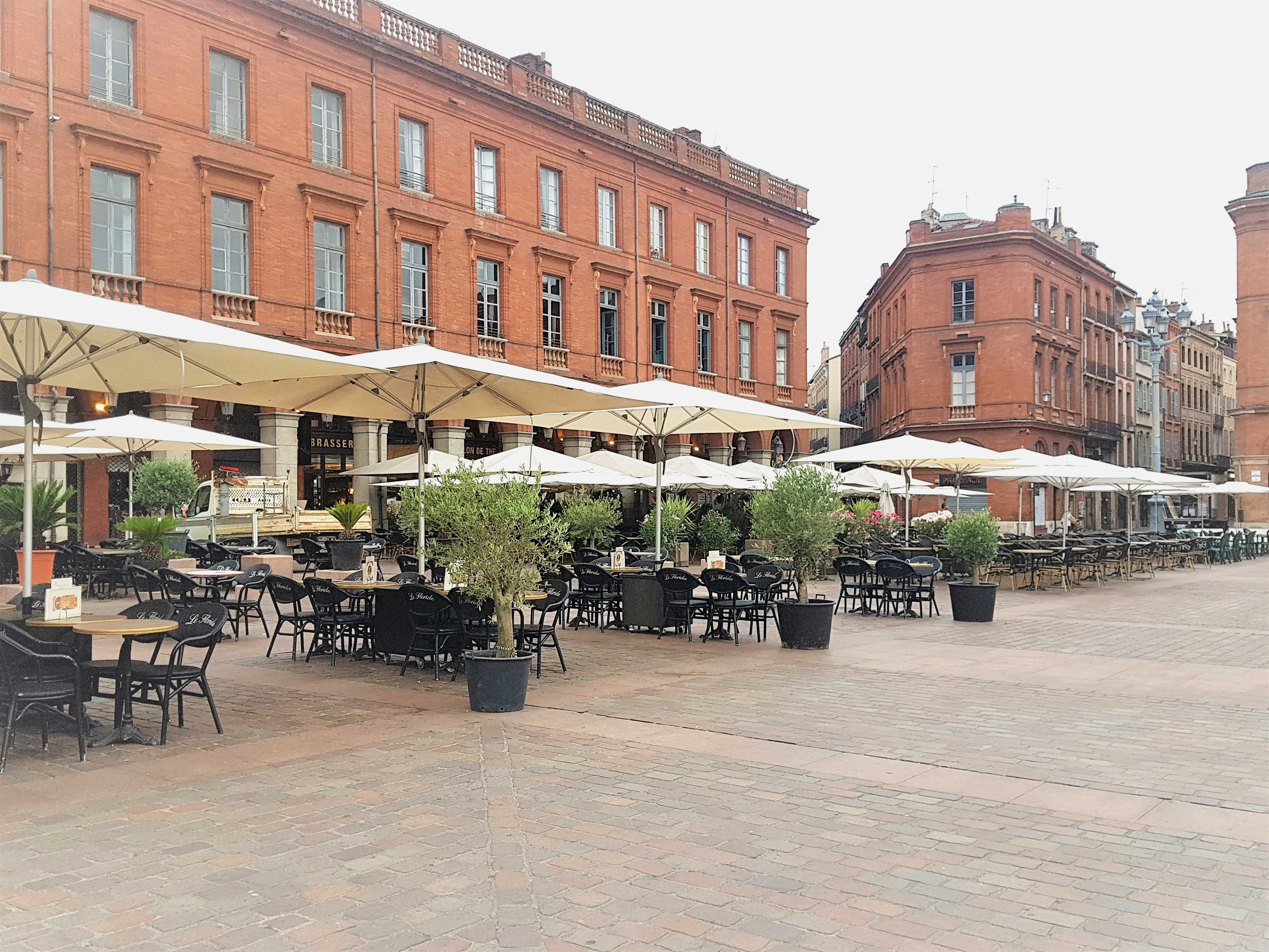 jardinerie-les-tropiques-Le-Capitole-Toulouse