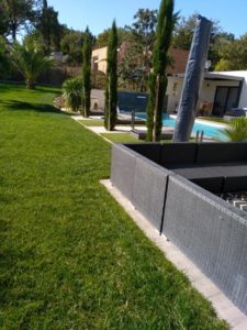Jardinerie Labarthe-sur-Lèze olivier végétaux paysagisme