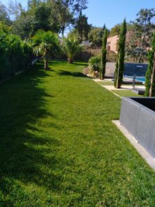 Jardinerie Labarthe-sur-Lèze olivier végétaux paysagisme